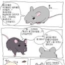 이** 이미지