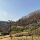 연무도서관 | 선마을힐리언스 (강원 홍천) - 아이랑 선마을 힐리언스 방문 후기 식사 요가 프로그램 스파