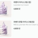 폴바셋 라벤더 시즌 시작 ! LAVENDER PURPLE 이미지