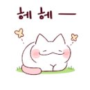 커스텀팝