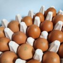 농업회사법인주식회사다알 이미지