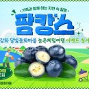 강화 달빛동화마을