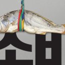 짠물