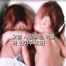 사랑으로 이미지