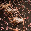 아트기획 | 피나 바우쉬 &lt;카네이션&gt;, 몸으로만 전달할 수 있는 것들―LG아트센터 기획 공연 관람 후기