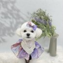 하떼하떼 이미지