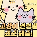 94. 고양이 정보(연령별 표준 체중) 이미지