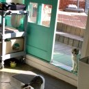 부흥횟집 이미지