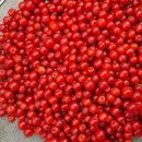 말래펜션 이미지