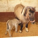 함양승마클럽 이미지