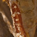 조이메디 이미지