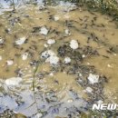 갯골수로2 이미지