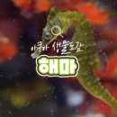 범 아쿠아 이미지