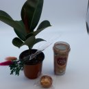 학이농장 이미지