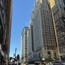 내추럴마켓(Natural Market) | [뉴욕/칸쿤] 9박 11일 뉴욕칸쿤 신혼여행 Day 2💖