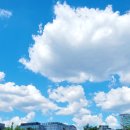 하늘종묘 이미지