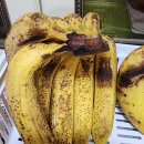 마이매쓰수학학원 이미지