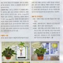 보성농원 이미지