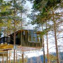 호텔나무 이미지