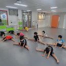 키즈태권도장 이미지