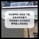 프로자동차외형복원