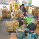 고산대추곶감농원 이미지