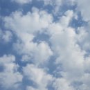 파도농장 이미지