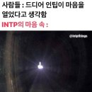 인팁