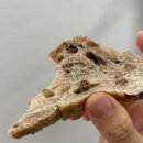 대구 수성구 건강빵 맛집 메종오브 베이커리 후기 (+다이어트 빵 추천, 깜빠뉴 종류)