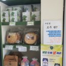 김순옥찹쌀도너츠 - 담양군 메타프로방스2길 6-12 | 김순옥찹쌀도너츠