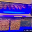고기담다 이미지