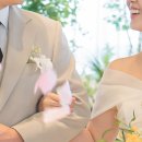 다르미앙 네이버블로그