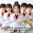 금빛성인태권도 이미지