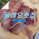 １０번횟집 | [사당역] 올레요횟집 / 방어회 후기 / 야장 / 사당역 10번출구