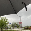 국립심포니오케스트라 CINEMA CLASSIC DAY | 행복했던 국립심포니오케스트라 시네마클래식데이 관람후기