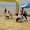 태안바다 이미지