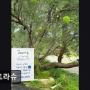 파트라슈 | [경기도 광주 요양원/추천/후기/가격] 파트라슈 파트라슈, 믿을 수 있는 반려견 호텔