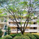 매물도콘도 이미지