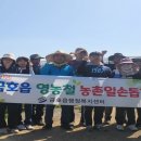 금호읍행정복지센터 이미지