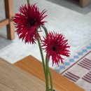 우신타워 앞  삼각지 | 삼각지역 말차 맛집으로 유명한 코르츠에서 교토말차라떼와 래밍턴