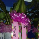 황진회집