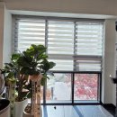 새말 피트니스 | 남양주 별내 청학리 새말 피트니스에 시공한 소프트 그레이 콤비 블라인드 후기