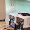 산청중학교 이미지