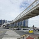 닥터김동물의료센터 이미지