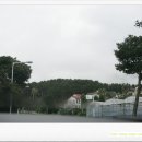 서귀동 300-1 이미지