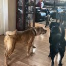 포동이농장 이미지