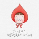 필즈수학학원