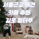 조이애견 | [김포 애견카페] 서울 근교 애견카페 김포 운양동 멍더쿠 완전 추천!!