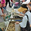 서해안마트 이미지