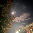 장연우헤어